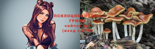 Альфа ПВП Шарыпово