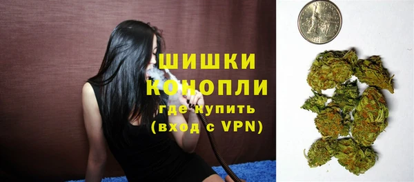 прущие грибы Заволжье