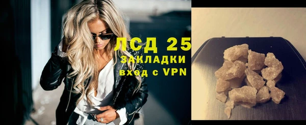 прущие грибы Заволжье