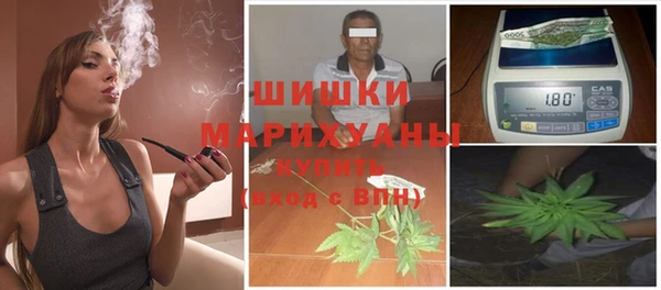 прущие грибы Заволжье