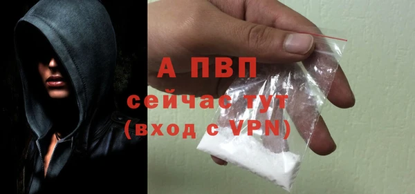 прущие грибы Заволжье