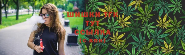 прущие грибы Заволжье