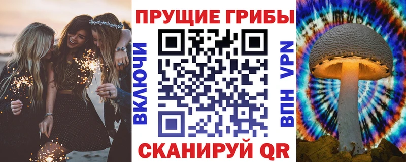 Галлюциногенные грибы GOLDEN TEACHER  купить  цена  Канаш 